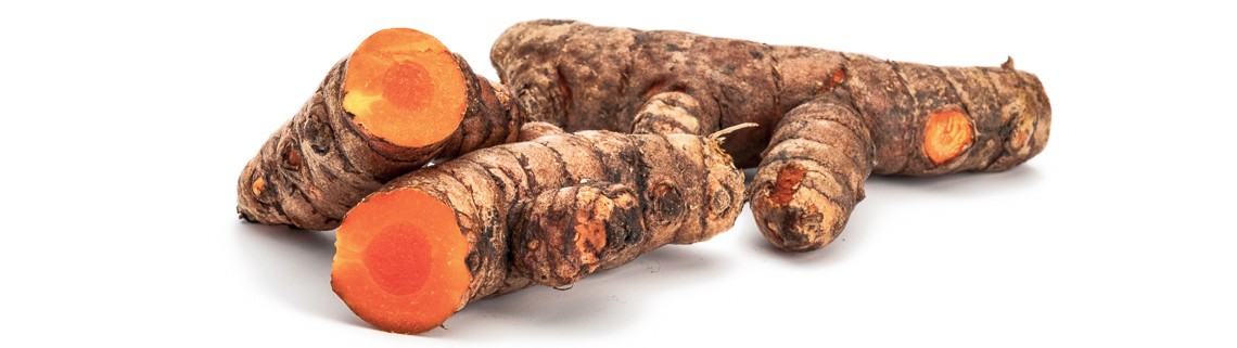 Curcuma longa - Cúrcuma