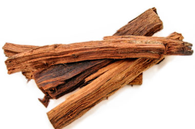 Eysenhardtia polystachya - Taray