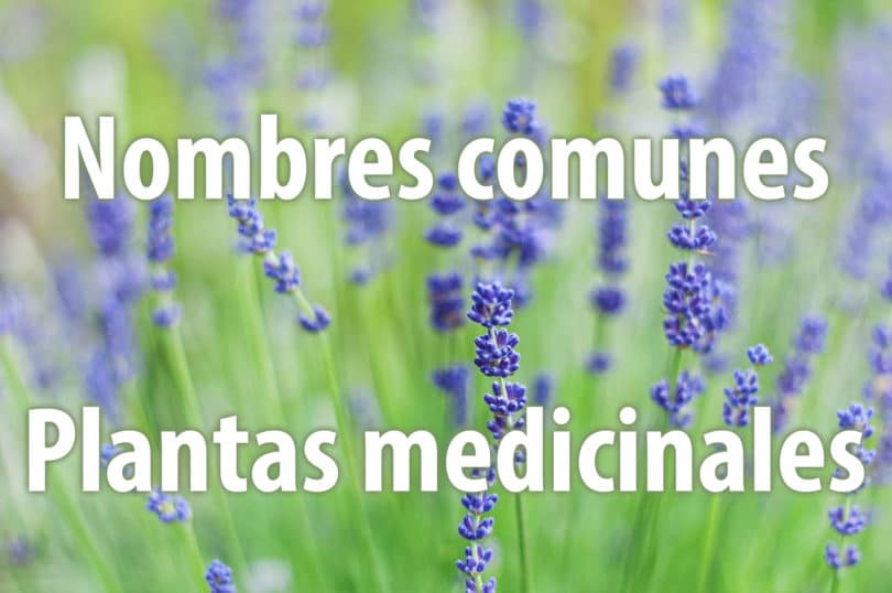 Nombres comunes de plantas medicinales