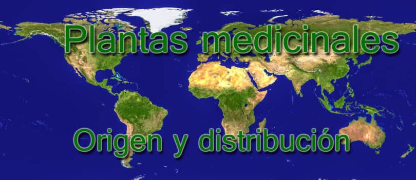 Plantas medicinales - origen y distribución